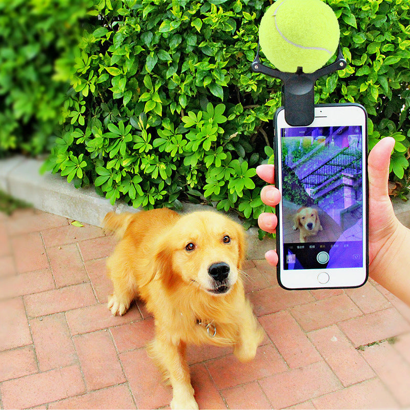 Pet selfie phone clip holding a tennis ball above a phone camera outdoors with a dog watching
