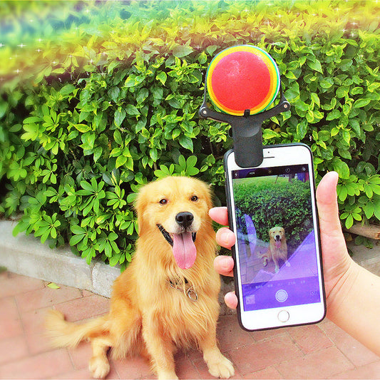 Pet selfie phone clip attached to a smartphone holding a ball above the camera while a dog looks at the lens