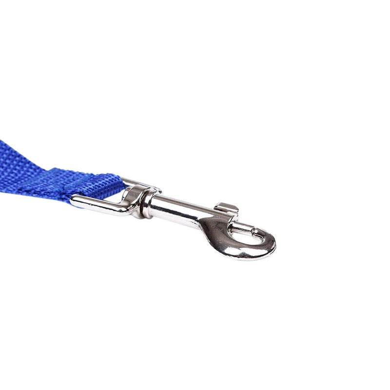 Recall Training Long Line for Dogs – 23 to 50 Ft