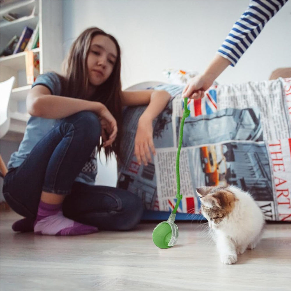 Cat playing with the green rolling ball toy on a floor