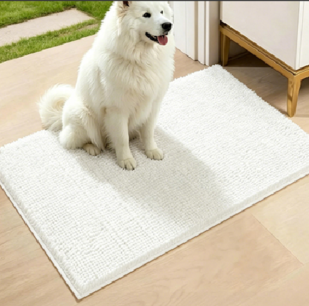 Absorbent Chenille Pet Door Mat