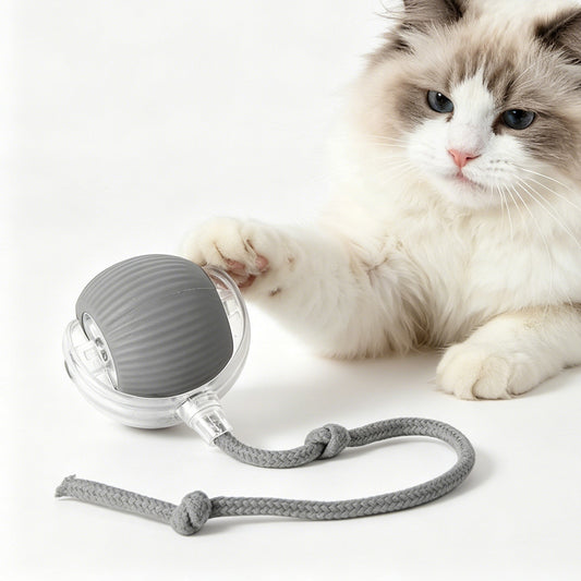 Gray motion-activated rolling pet ball with rope tail beside a cat