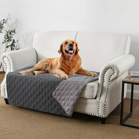 Grey waterproof pet couch cover on a sofa seat with a dog resting on it