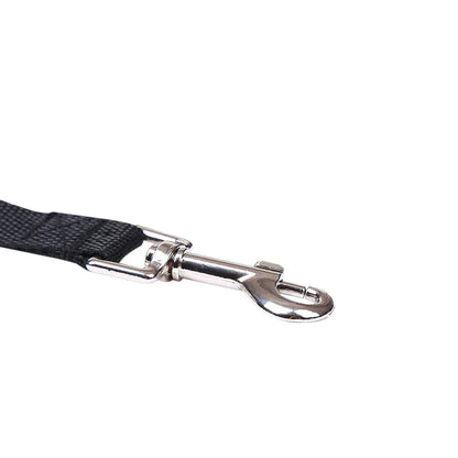 Recall Training Long Line for Dogs – 23 to 50 Ft